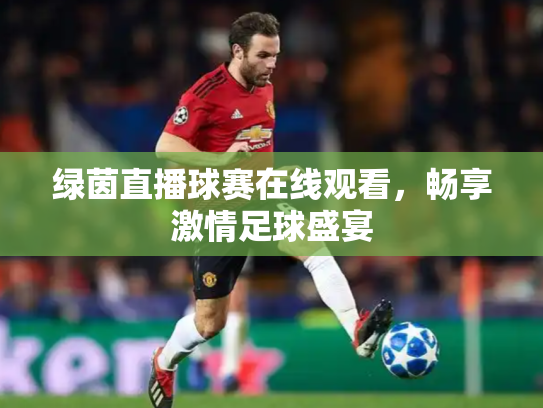 绿茵直播球赛在线观看，畅享激情足球盛宴