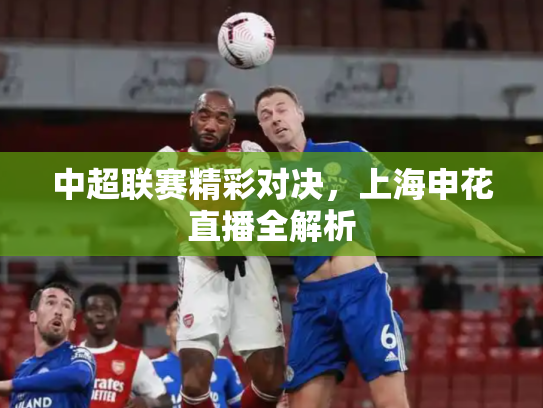 中超联赛精彩对决，上海申花直播全解析