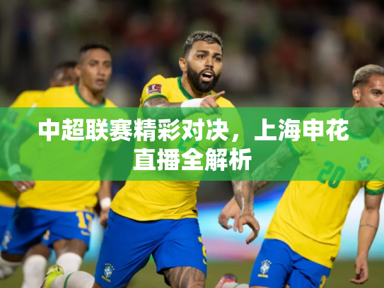 中超联赛精彩对决，上海申花直播全解析