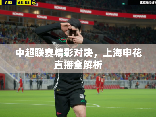 中超联赛精彩对决，上海申花直播全解析