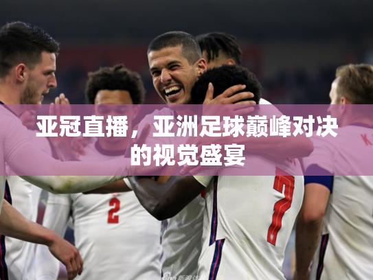 亚冠直播，亚洲足球巅峰对决的视觉盛宴