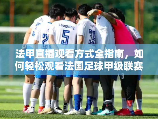 法甲直播观看方式全指南，如何轻松观看法国足球甲级联赛