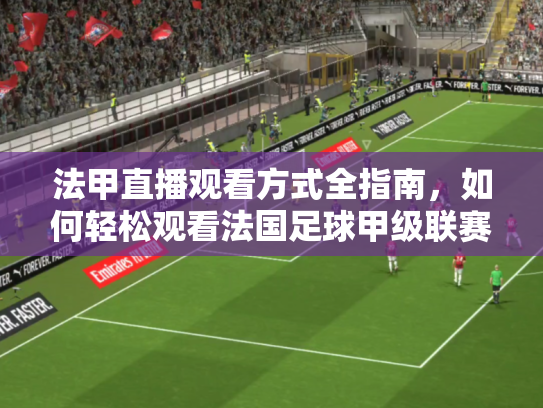法甲直播观看方式全指南，如何轻松观看法国足球甲级联赛