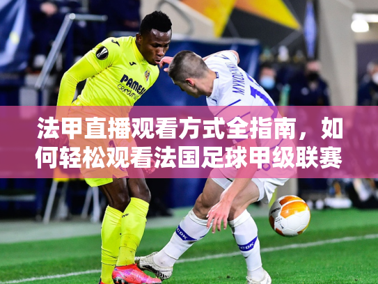 法甲直播观看方式全指南，如何轻松观看法国足球甲级联赛