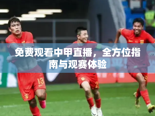 免费观看中甲直播，全方位指南与观赛体验