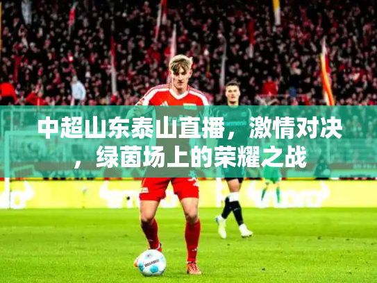 中超山东泰山直播，激情对决，绿茵场上的荣耀之战