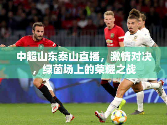 中超山东泰山直播，激情对决，绿茵场上的荣耀之战