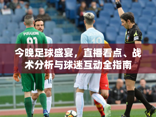 今晚足球盛宴，直播看点、战术分析与球迷互动全指南