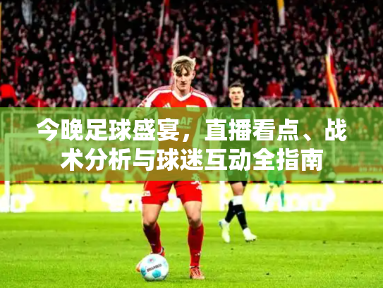 今晚足球盛宴，直播看点、战术分析与球迷互动全指南