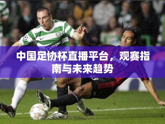 中国足协杯直播平台，观赛指南与未来趋势