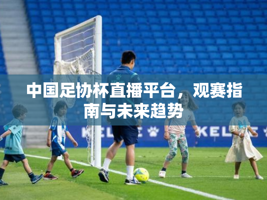 中国足协杯直播平台，观赛指南与未来趋势