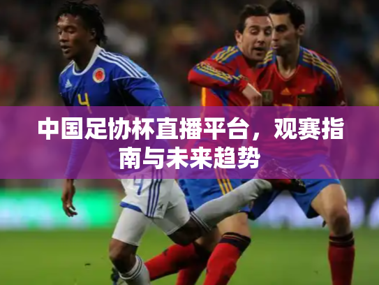 中国足协杯直播平台，观赛指南与未来趋势