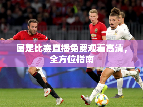 国足比赛直播免费观看高清，全方位指南