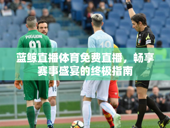 蓝鲸直播体育免费直播，畅享赛事盛宴的终极指南