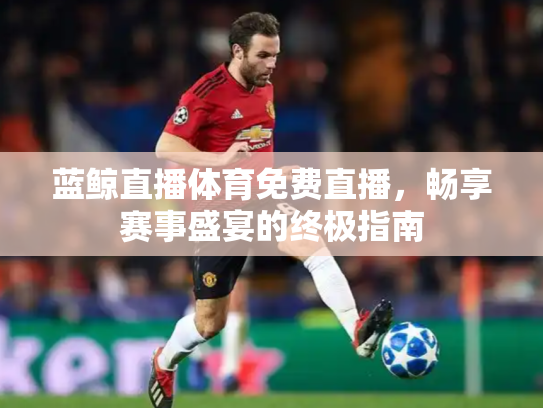 蓝鲸直播体育免费直播，畅享赛事盛宴的终极指南