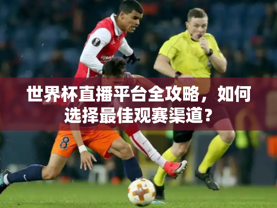 世界杯直播平台全攻略，如何选择最佳观赛渠道？