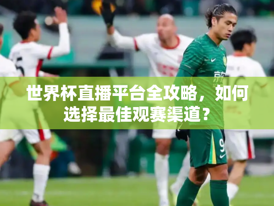 世界杯直播平台全攻略，如何选择最佳观赛渠道？
