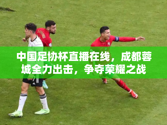 中国足协杯直播在线，成都蓉城全力出击，争夺荣耀之战