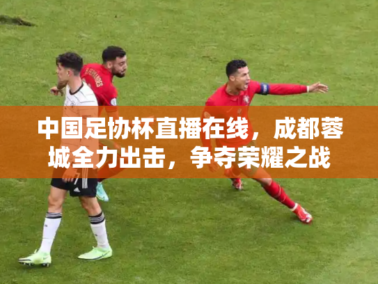 中国足协杯直播在线，成都蓉城全力出击，争夺荣耀之战