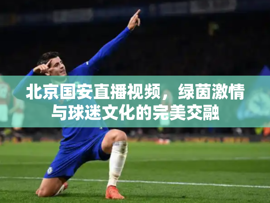 北京国安直播视频，绿茵激情与球迷文化的完美交融