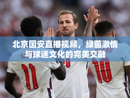 北京国安直播视频，绿茵激情与球迷文化的完美交融
