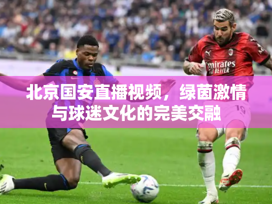 北京国安直播视频，绿茵激情与球迷文化的完美交融