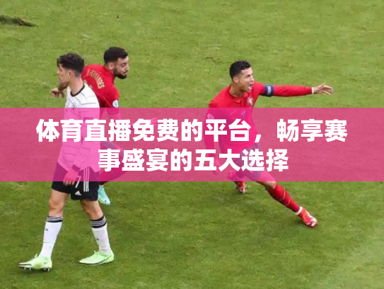 体育直播免费的平台，畅享赛事盛宴的五大选择