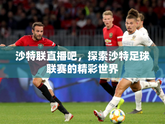 沙特联直播吧，探索沙特足球联赛的精彩世界