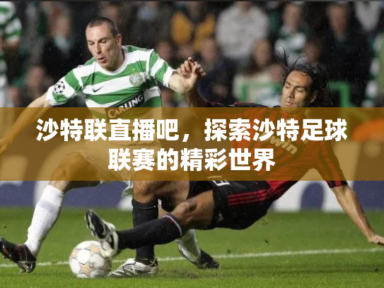 沙特联直播吧，探索沙特足球联赛的精彩世界