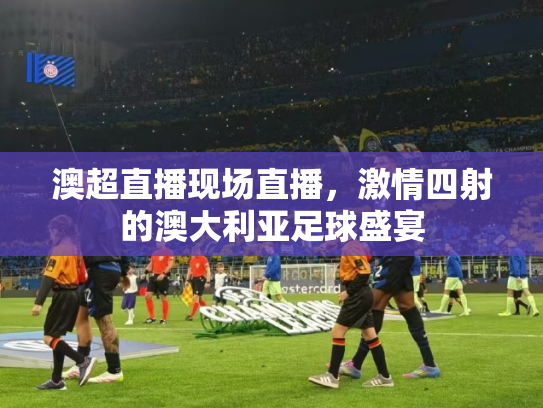 澳超直播现场直播，激情四射的澳大利亚足球盛宴