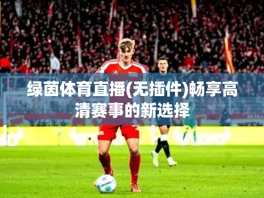 绿茵体育直播(无插件)畅享高清赛事的新选择