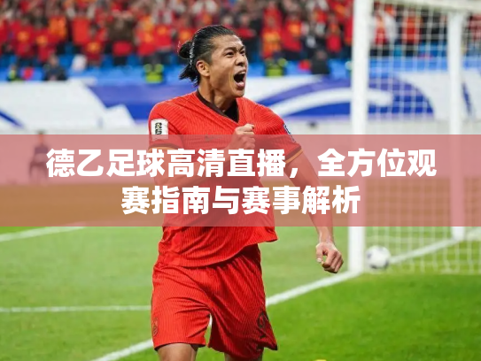 德乙足球高清直播，全方位观赛指南与赛事解析