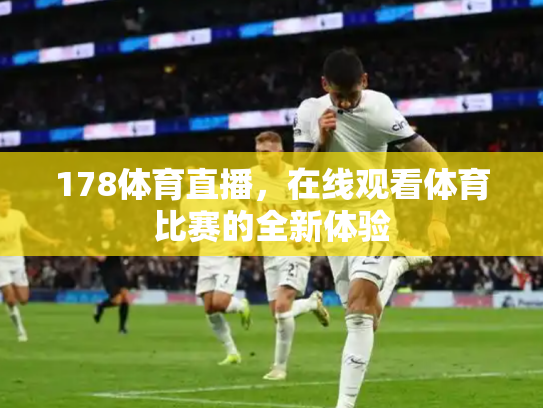 178体育直播，在线观看体育比赛的全新体验