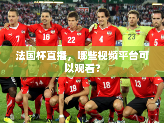 法国杯直播，哪些视频平台可以观看？