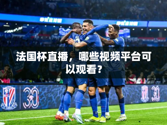 法国杯直播，哪些视频平台可以观看？