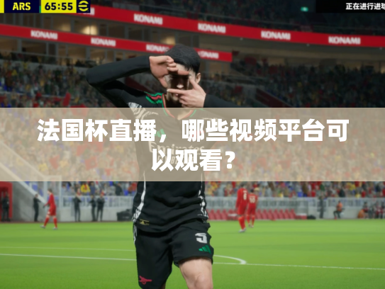 法国杯直播，哪些视频平台可以观看？