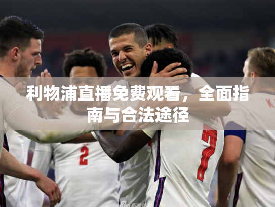 利物浦直播免费观看，全面指南与合法途径