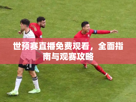 世预赛直播免费观看，全面指南与观赛攻略