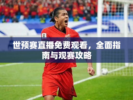 世预赛直播免费观看，全面指南与观赛攻略