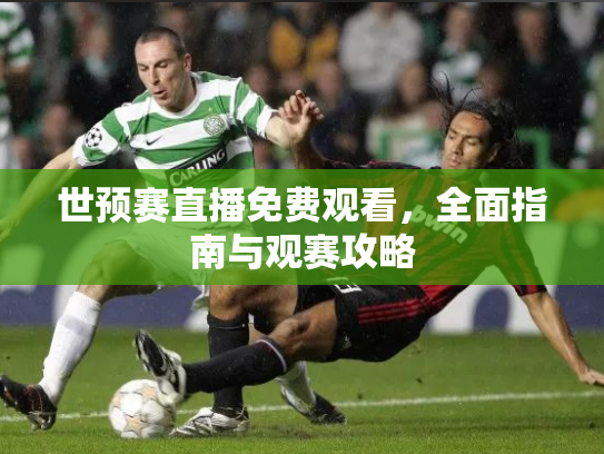 世预赛直播免费观看，全面指南与观赛攻略