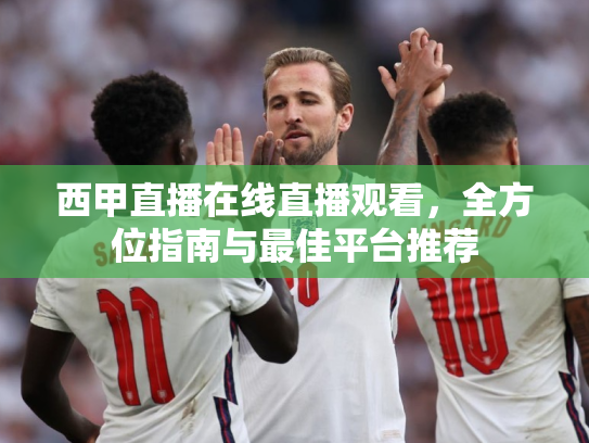 西甲直播在线直播观看，全方位指南与最佳平台推荐
