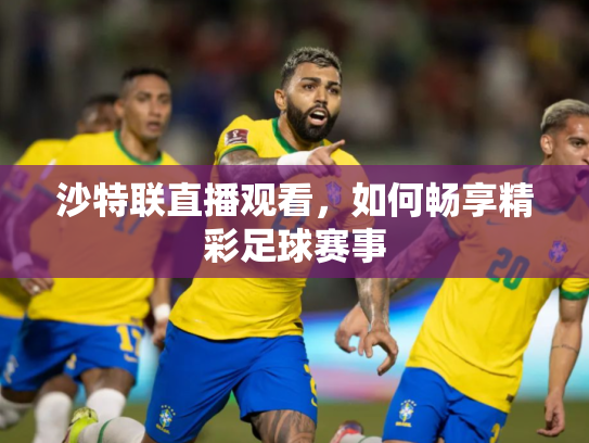 沙特联直播观看，如何畅享精彩足球赛事