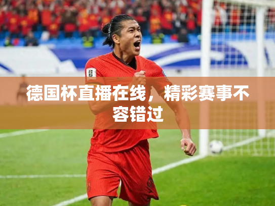 德国杯直播在线，精彩赛事不容错过