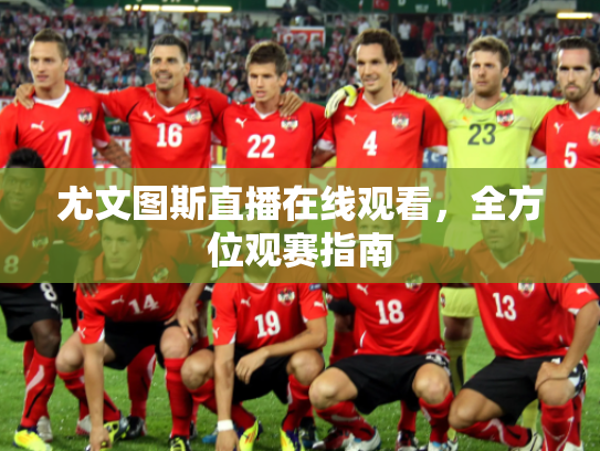 尤文图斯直播在线观看，全方位观赛指南