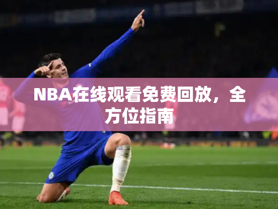 NBA在线观看免费回放，全方位指南
