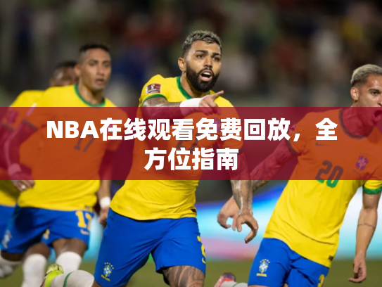 NBA在线观看免费回放，全方位指南