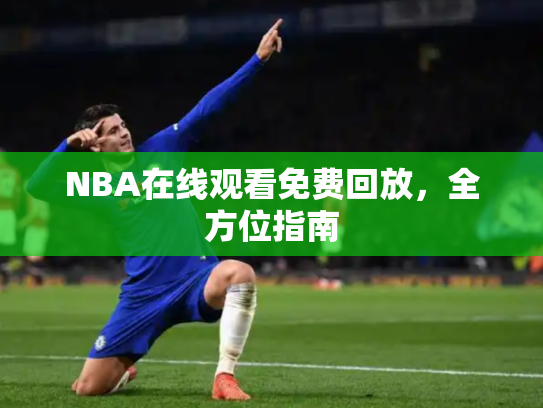 NBA在线观看免费回放，全方位指南