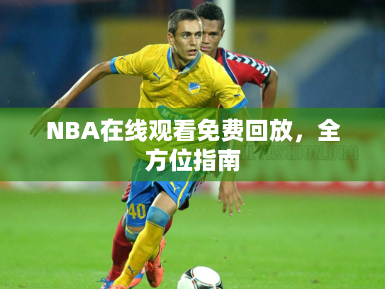 NBA在线观看免费回放，全方位指南