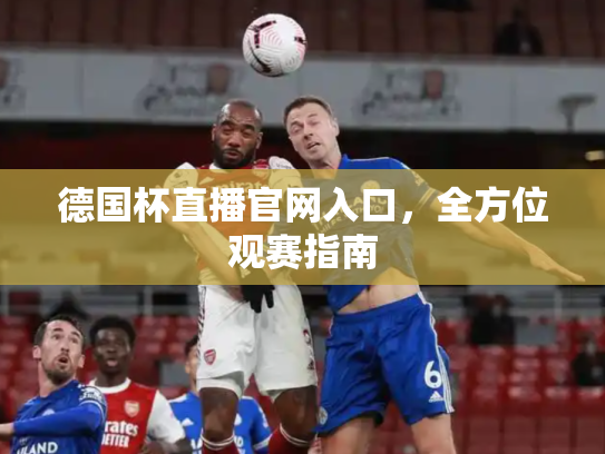 德国杯直播官网入口，全方位观赛指南