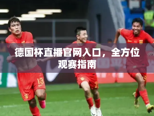 德国杯直播官网入口，全方位观赛指南